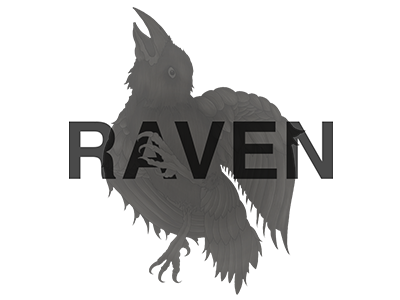 Raven drawing