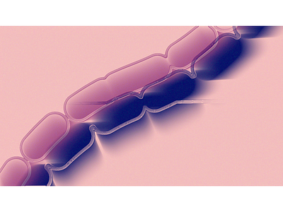 Bacilos #01 2d animation ae animation bacilos bacteria basic shape motion design pink