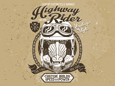 Hightway Rider baboons googles helmer motorcycle race racer speed vintage