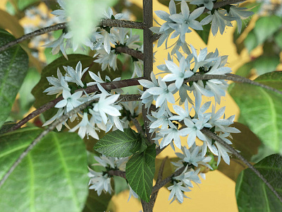 Nespresso Expertise 3d advertising animation cgi color motion render video