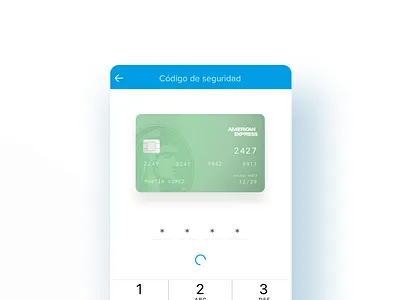 Proceso de pago - Payment process cards inputs pay process