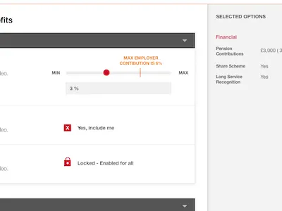 Flexible Benefits clean controls financial input interface modern simple slider ui
