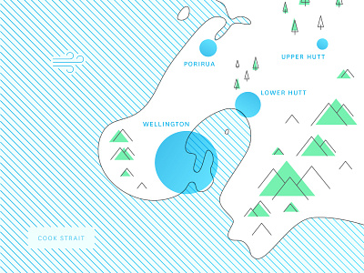 Wellington Region aotearoa illustration map new zealand nz topography wellington