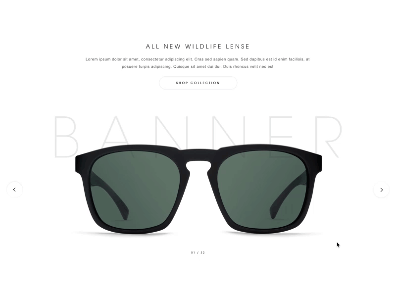 VonZipper Sunglasses Module