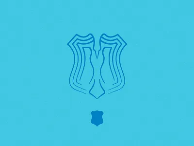 Raven shield bird raven shield