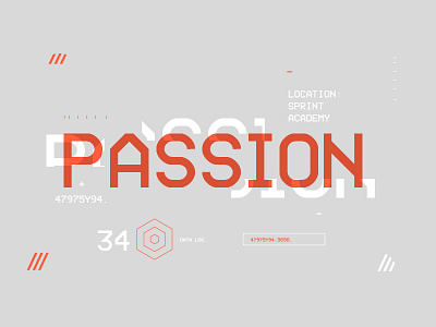 < PASSION > brand branding color colour identity passion stats type ui
