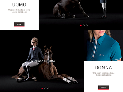 Fashion Horses - 1 design fashion interaction ui ux website