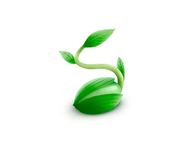 Sprout blossom potential seed sprout tree