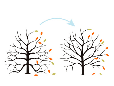 Refreshed logo for Casas confort autumn casas confort logo refresh tree vector
