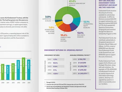 Annual Report Financials