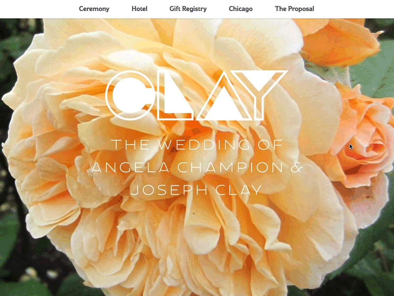 Wedding Site bride claysallday groom proposal wedding