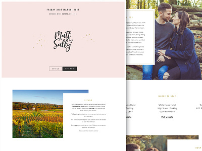 Matt + Sally Wedding Website animated marriage one page rsvp ui ux wedding