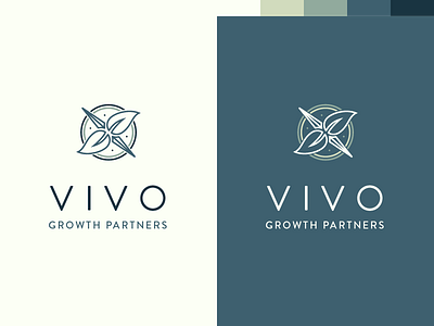 Rejected Vivo logo brand branding columbus consulting growth logo organic