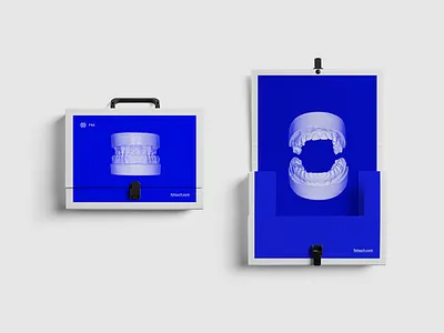 FSC dental dentist stomatology study teeth