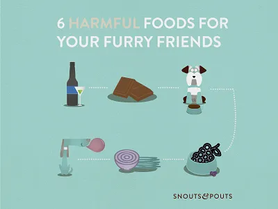 Snouts & Pouts illustration anti odour dog dog beds illustration infographic