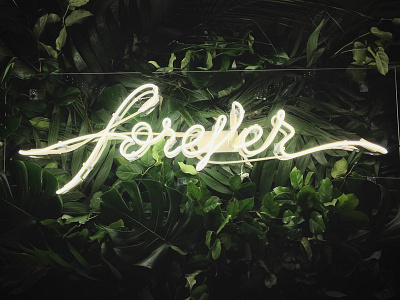 Forever, Neon. lettering lighting monoline neon typography