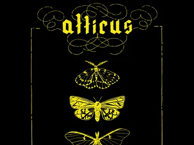 Moths for Atticus blackletter hand lettering moth spokane