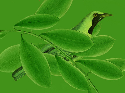 Green bird collage green leaves