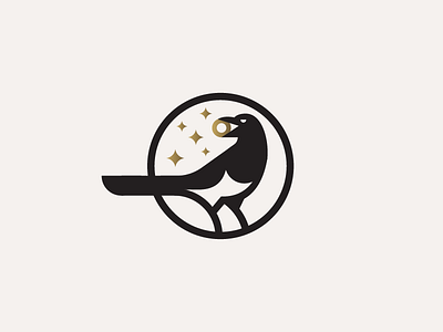 Magpie bird gold magpie thief