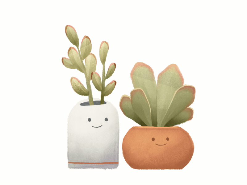 Succulents gif plants