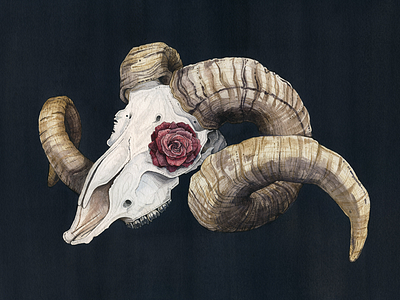 Blood Pact illustration ram rose skull watercolor
