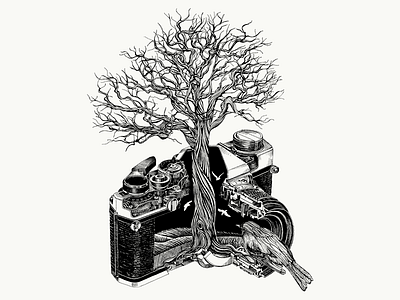 Illustration for Business Video intros. bird black ink camera illustration majestic mysterious tree vintage