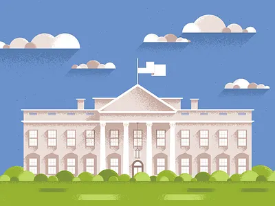 The White House executive flag illustration illustrator politics president texture white house