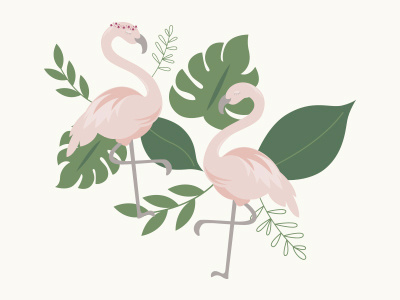 Flamingos design graphic design illustration pattern surface design vector