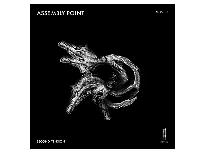 Album Art - Monolith Records album albumart cover coverart dark design graphicdesign music noise techno