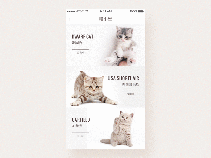 loading animate animation app cat design flat gif ios loading shopping ui ux