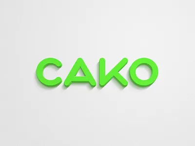 Sako lettering logo logodesign logotype type typography