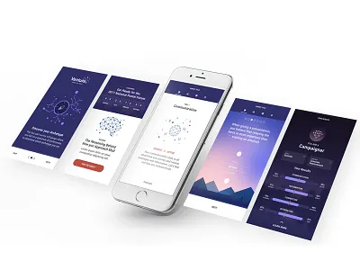 NPF Mobile Survey 2017 archetype event mailers postal survey