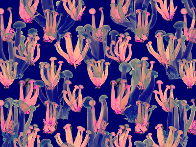 Jellyfish graphic design illustration pattern