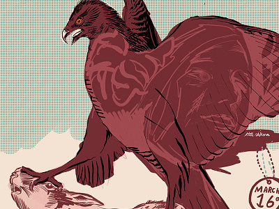 Kevin Morby Poster bird gig poster hawk illustration ipad pro poster procreate rabbit richmond show poster
