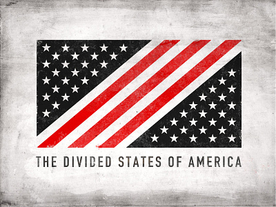 Divided States Of America divided flag resist