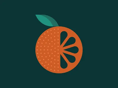 Florida Orange citrus clean florida fruit health illustration modern nature orange vitamin c