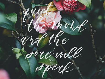 Quiet the mind and the soul will speak botanical brush calligraphy brush lettering calligraphy hand lettering lettering script typography