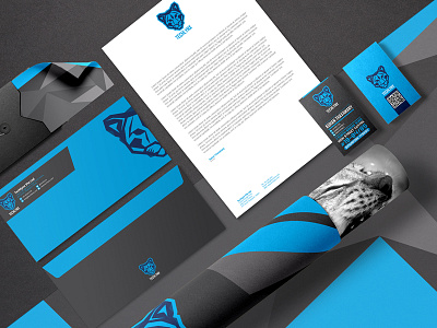 Techlynx branding and identity design blue branding business card creative graphic design identity logo logotype lynx style