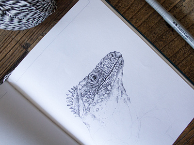 Komodo Dragon animal dot illustration komodo dragon lizard portrait reptile
