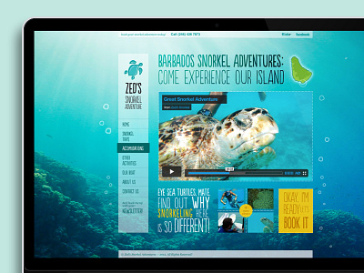 Barbados, baby adventure travel uiux web zeds