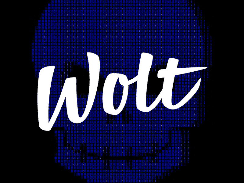 Endless logo animation animation ascii black blue endless logo loop looping skull white wolt