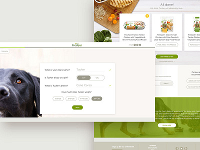 Fresh Selector cms responsive design selector sketch ui ux web design