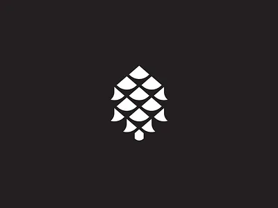 Pine Cone design graphic icon iconography illustration modern pine tree