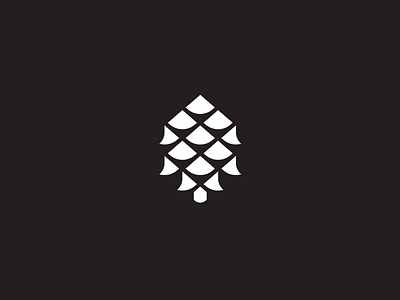 Pine Cone design graphic icon iconography illustration modern pine tree