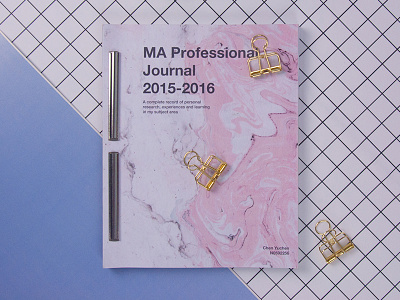 MA Professional Journal 2015-2016 book design