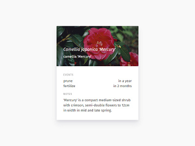 Sprout Cards V1 app camellia card gardening plants profile ui