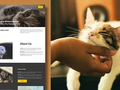 Paws & Whiskers Haven - Landing Page for Non-Profit Organization cats dogs nonprofit pets squarespace web design website