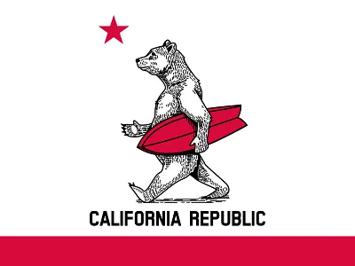 Bear bear california chomp illustration surfing