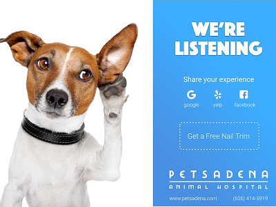 Petsadena advertising branding marketing