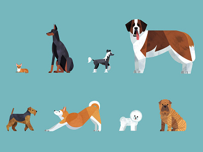Dogs animal collection dog